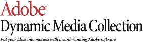 Adobe_Dynamic_Media_Collect.gif
