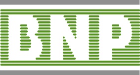 Banque_Nationale_de_Paris.gif