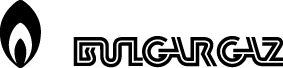 Bilgargaz