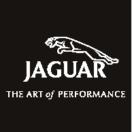 Jaguar performance