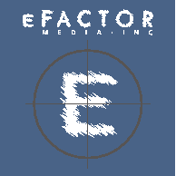 E factor