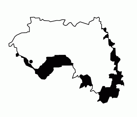 地图 81