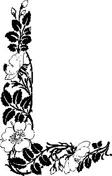 矢量边框