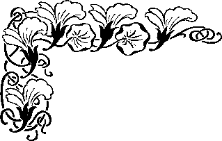 花纹边框