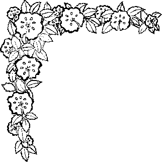 花纹边框