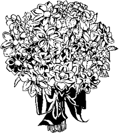 鲜花矢量图