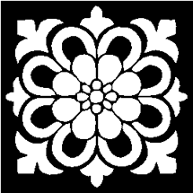 矢量图花瓣图案