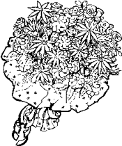 工具矢量图