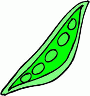 豌豆矢量图下载