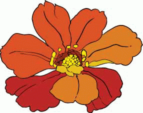 芙蓉花矢量图