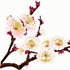 梅花矢量图下载