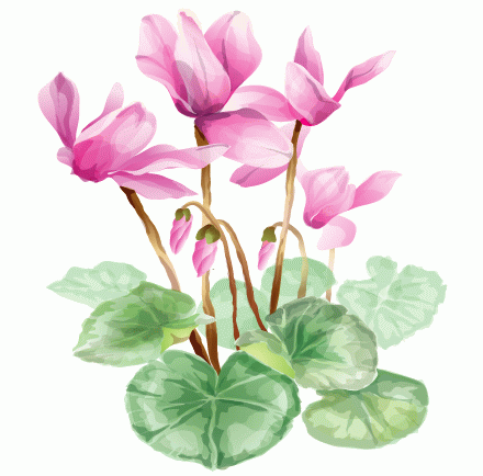 荷花矢量图