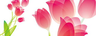 logo800.jpg