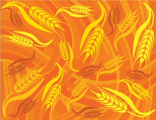 logo2323.jpg