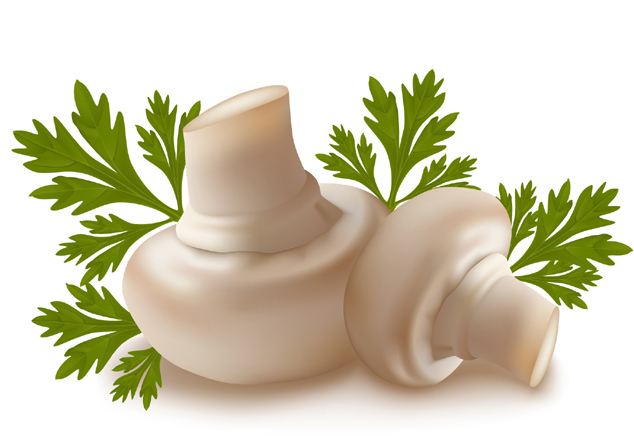 logo2518.jpg