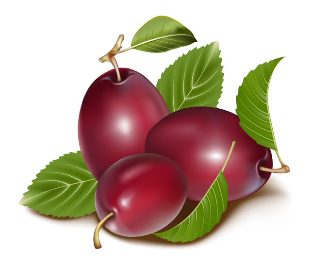 logo2832.jpg