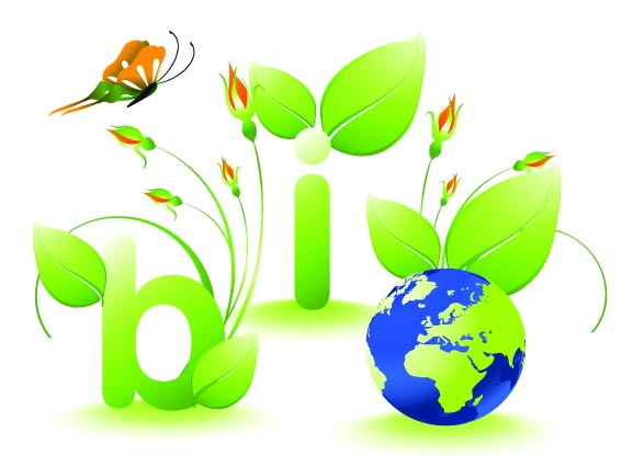 logo2981.jpg