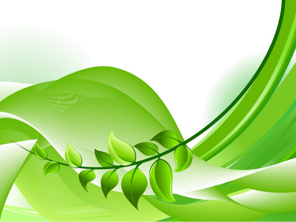 绿色植物叶子矢量图下载