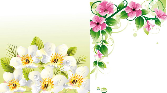 logo3549.jpg