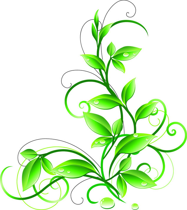 logo3685.jpg