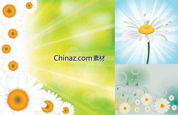 ylogo480.jpg