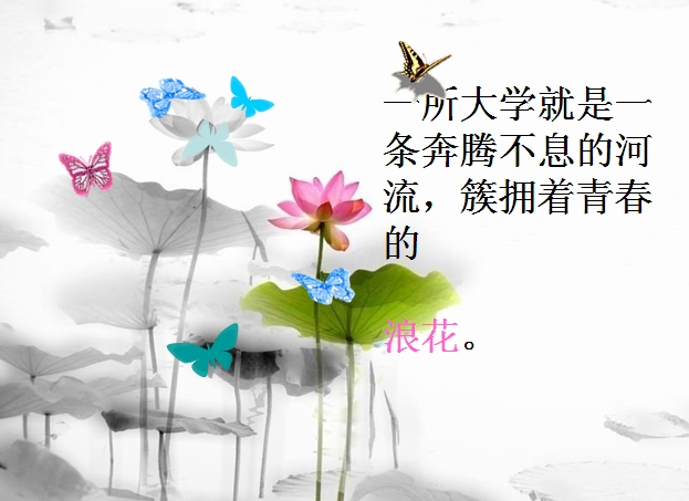 ppt1819.jpg