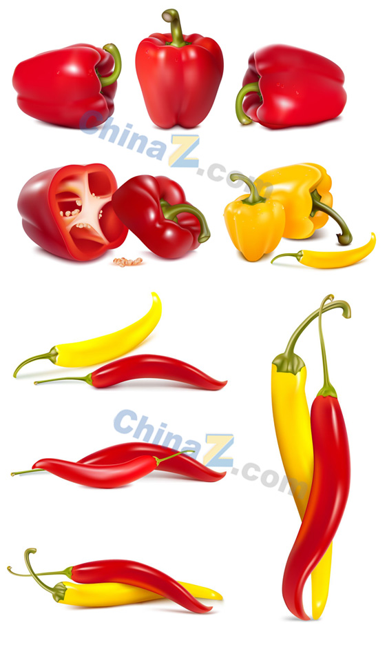 ylogo2142.jpg