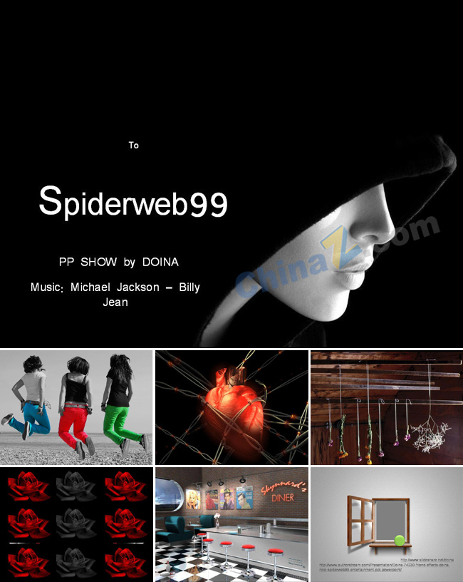 zppt113.jpg