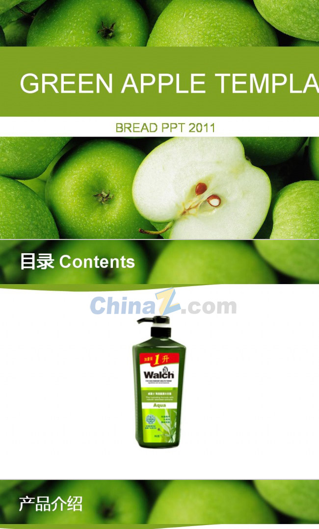 ppt2078.jpg
