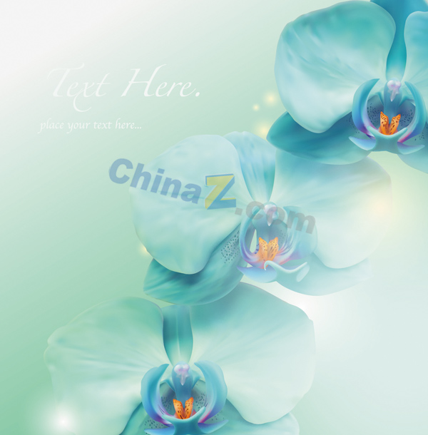 wulogo124.jpg