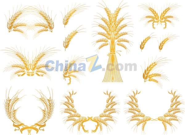 wulogo290.jpg