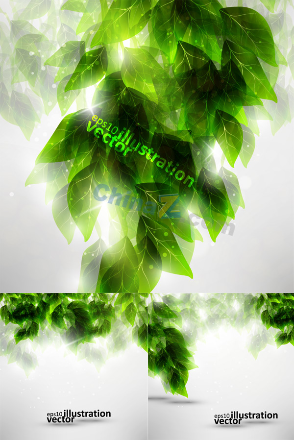 wulogo557.jpg