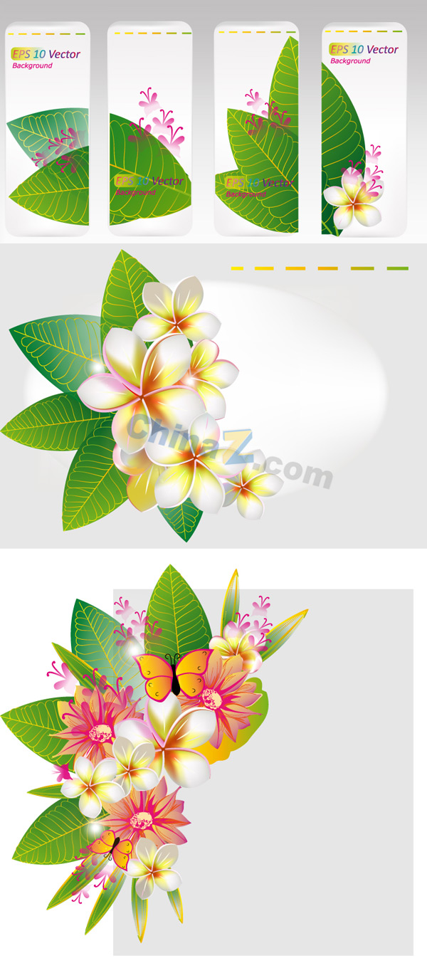 wulogo659.jpg