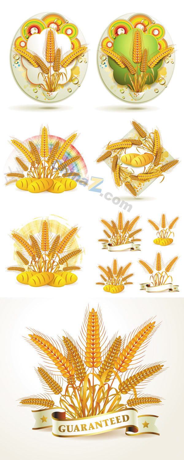 wulogo1545.jpg