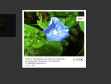 jquerylightbox.jpg