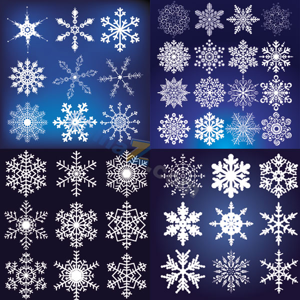 精美雪花矢量模板素材