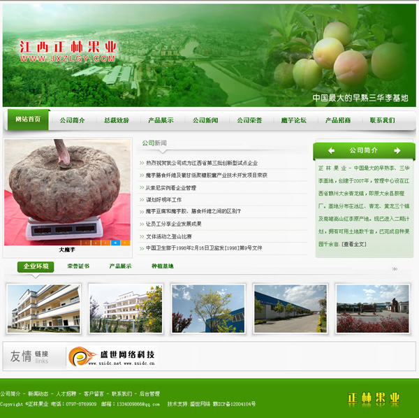 帝国CMS绿色食品企业模版