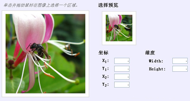 jiaoben593.jpg