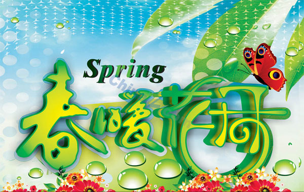 wulogo4540.jpg