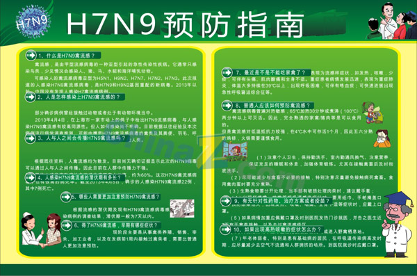 H7N9禽流感预防指南矢量展板