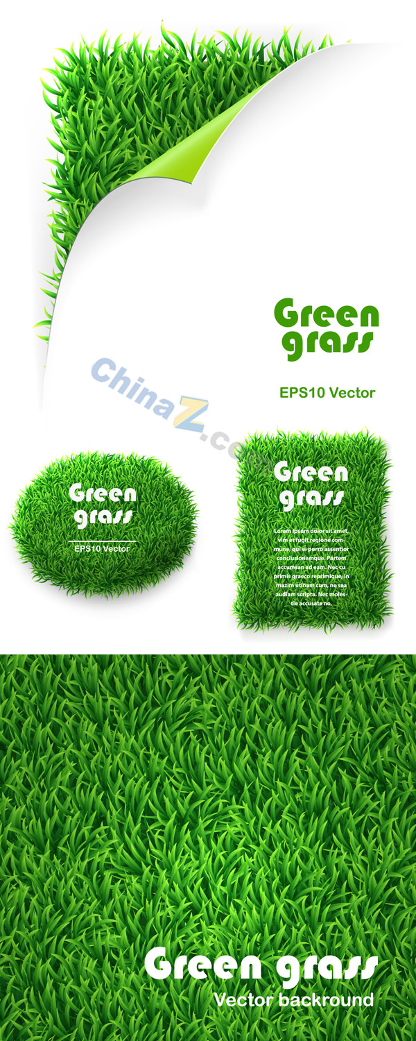 wulogo4733.jpg