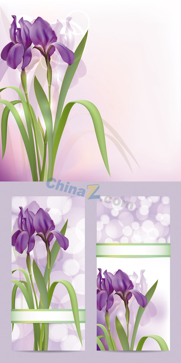 wulogo4822.jpg