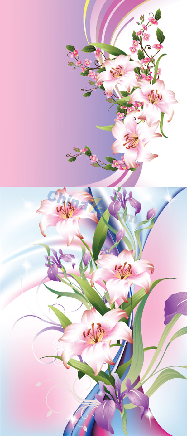 百合花卉矢量素材下载