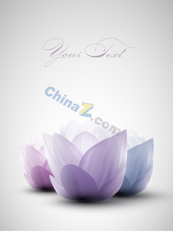 wulogo5241.jpg