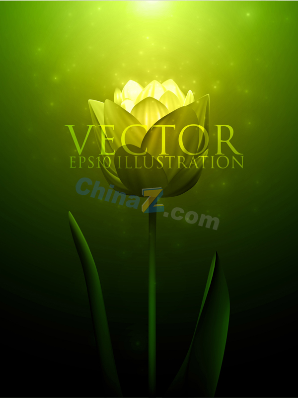 wulogo5240.jpg