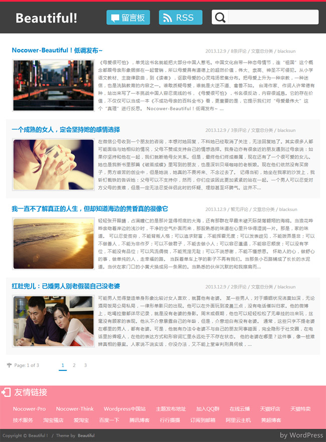 wordpress153.jpg