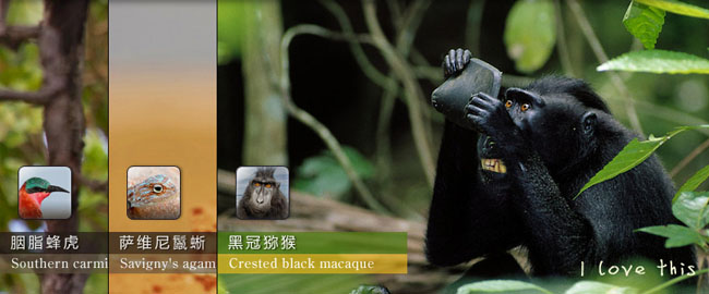 jiaoben1999.jpg