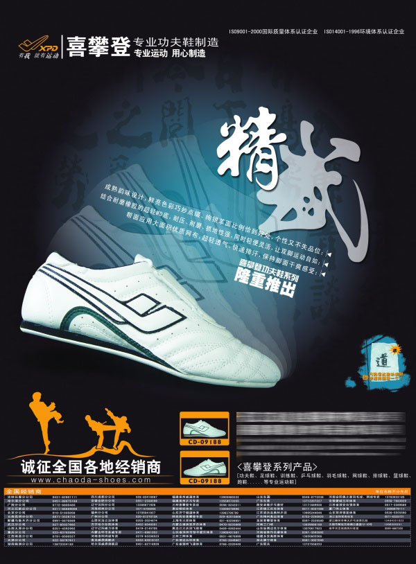 专业功夫鞋PSD宣传海报