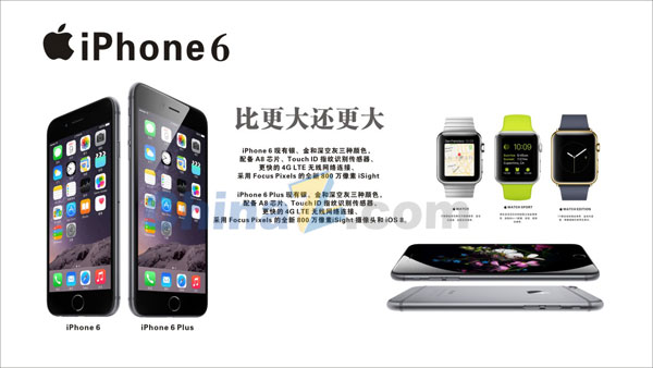wulogo8864.jpg