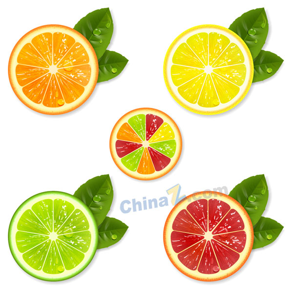 wulogo11240.jpg